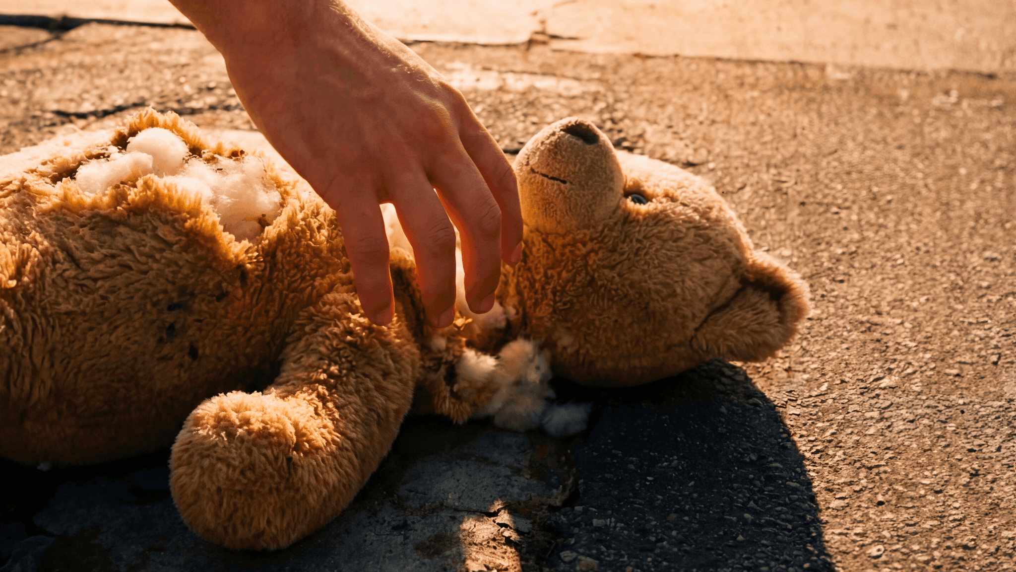 02 16x9 Teddy cadaeb2b74